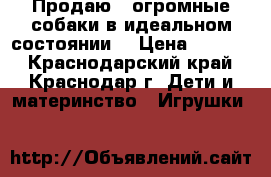 Продаю 2 огромные собаки в идеальном состоянии, › Цена ­ 1 000 - Краснодарский край, Краснодар г. Дети и материнство » Игрушки   